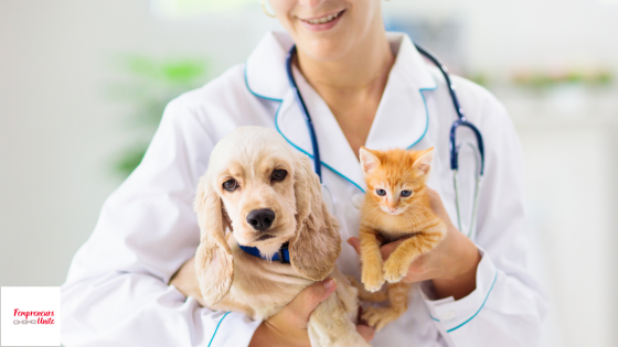 Thriving As An Entrepreneurial Veterinarian